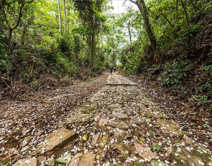河源粤赣古道.jpg